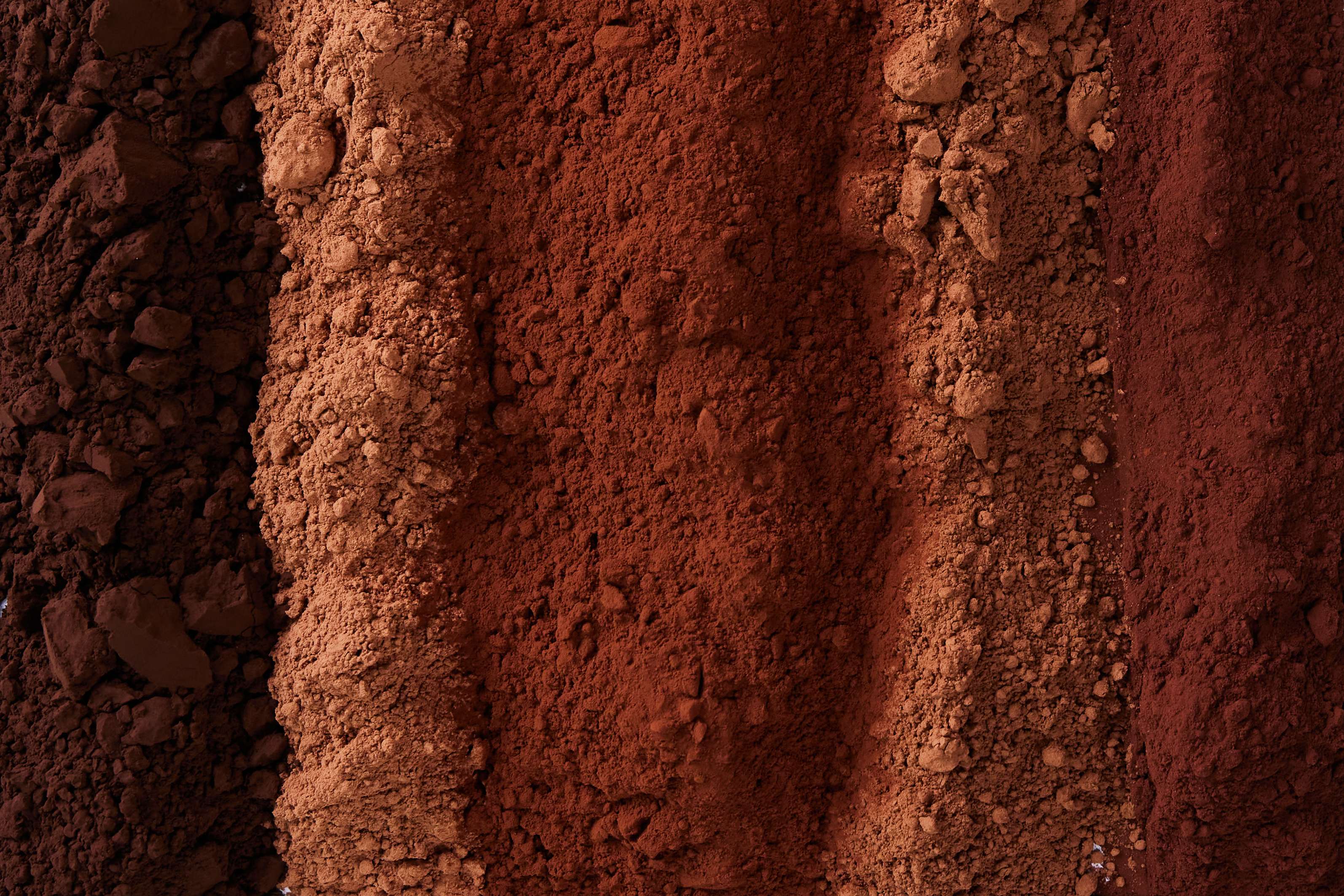 A Trusted Cocoa Powder Supplier 