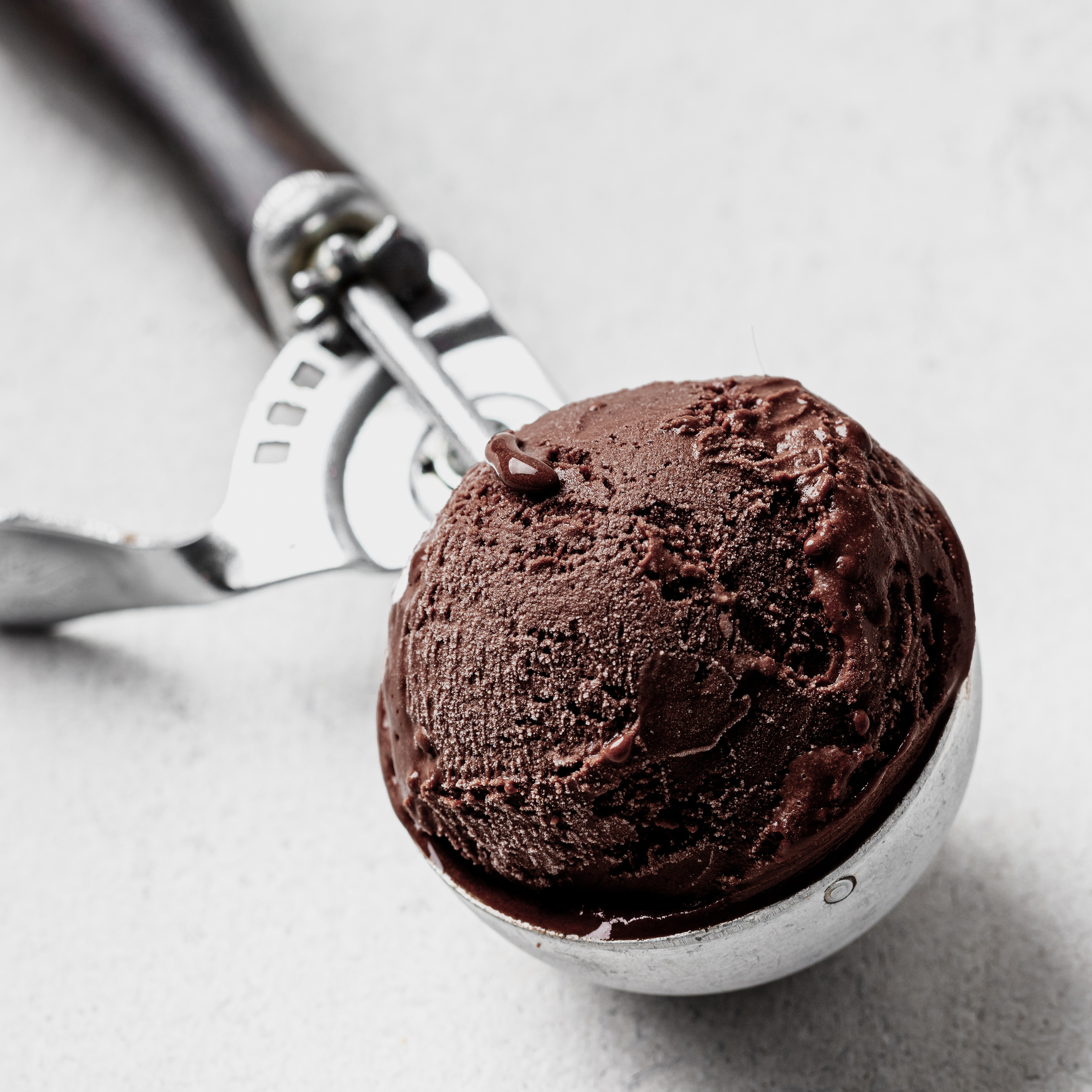 Black Cocoa Powder Applications Grid Dairy Ice Cream Manufacturing