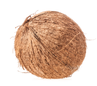 Coconut