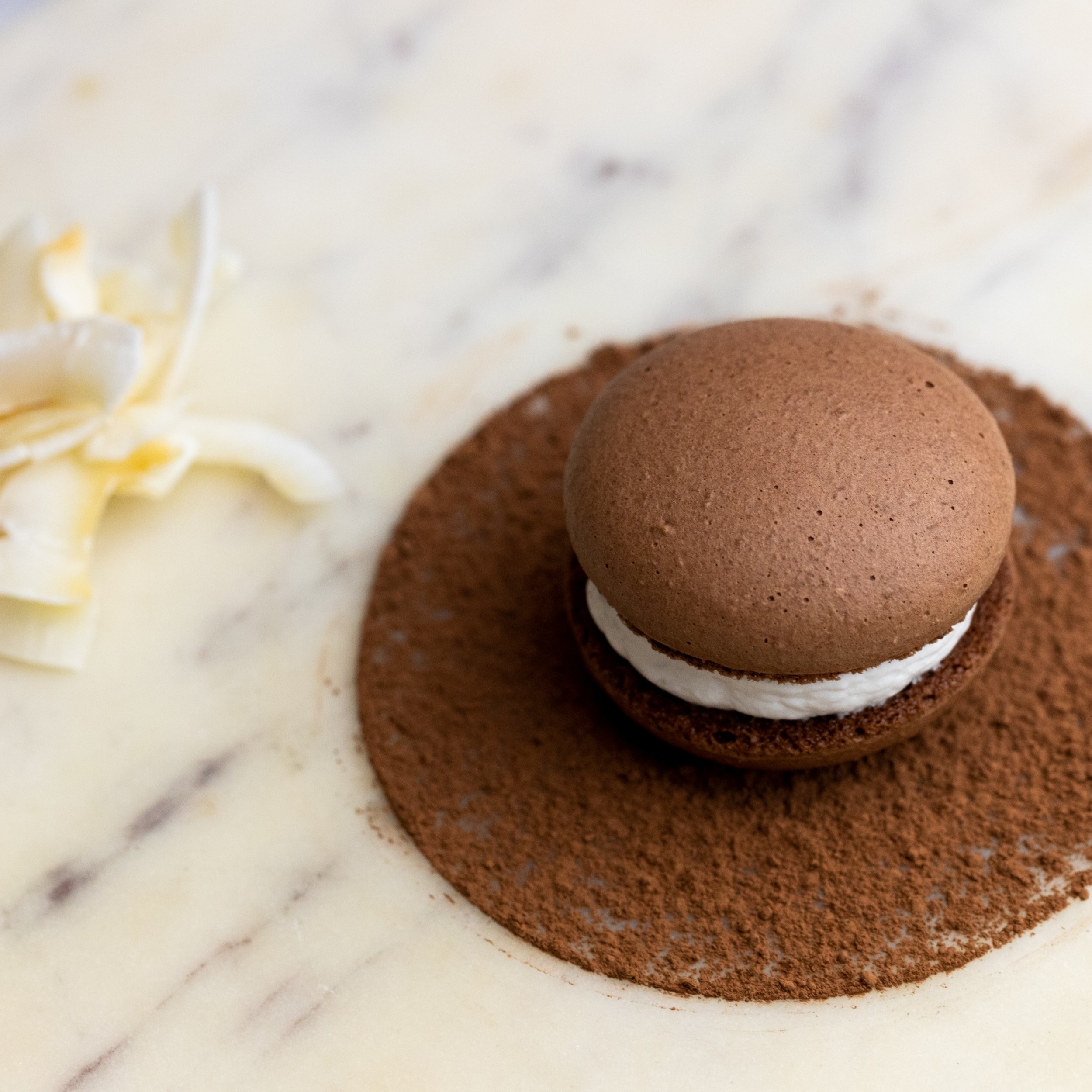 DeZaan Hero Image Of Rose Blush Coconut & Caramelized Banana Macaron