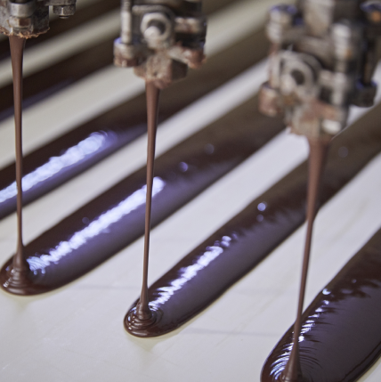 Cocoa Production 
Process