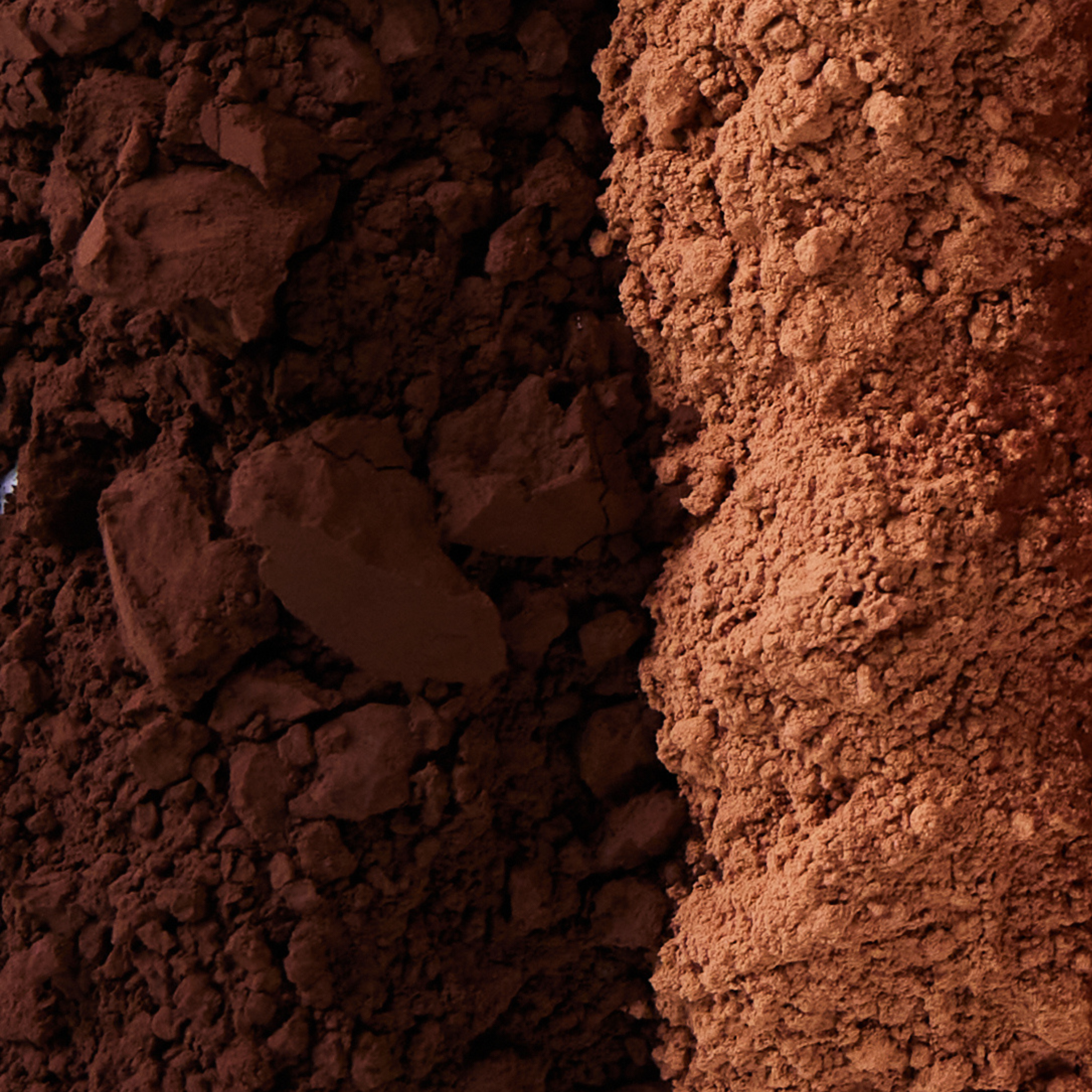 Cocoa Ingredients Supplier