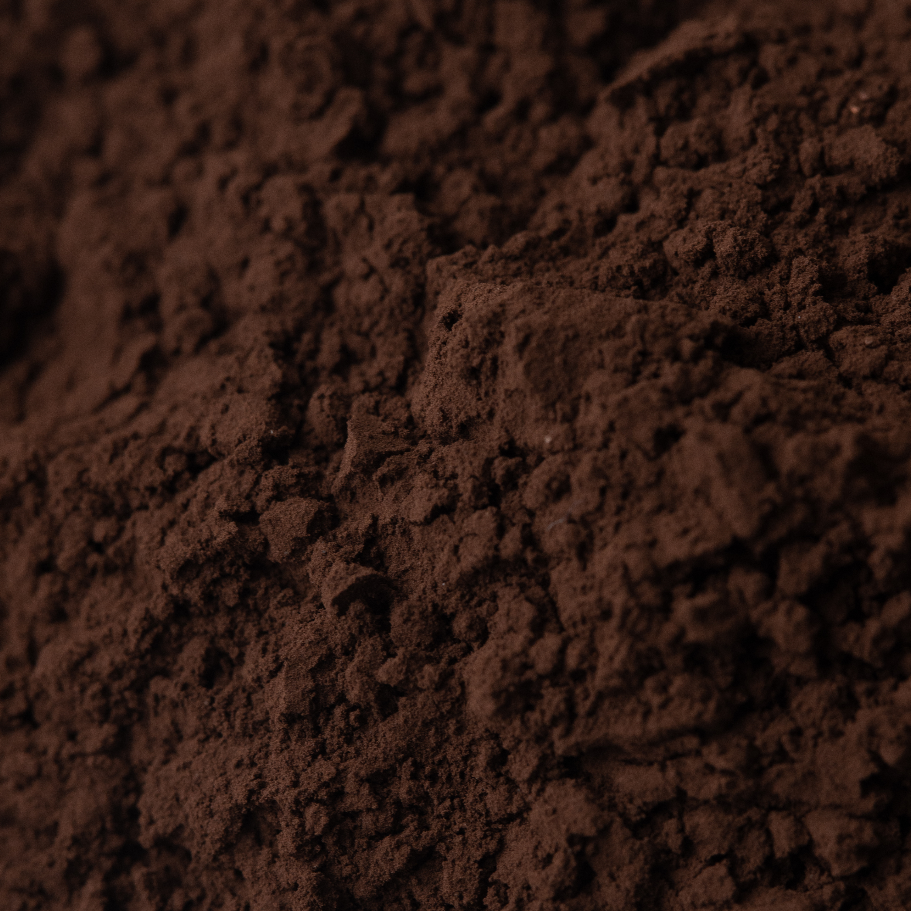 Black Cocoa Powder