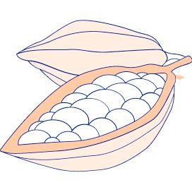 Cocoa Pod Graphic