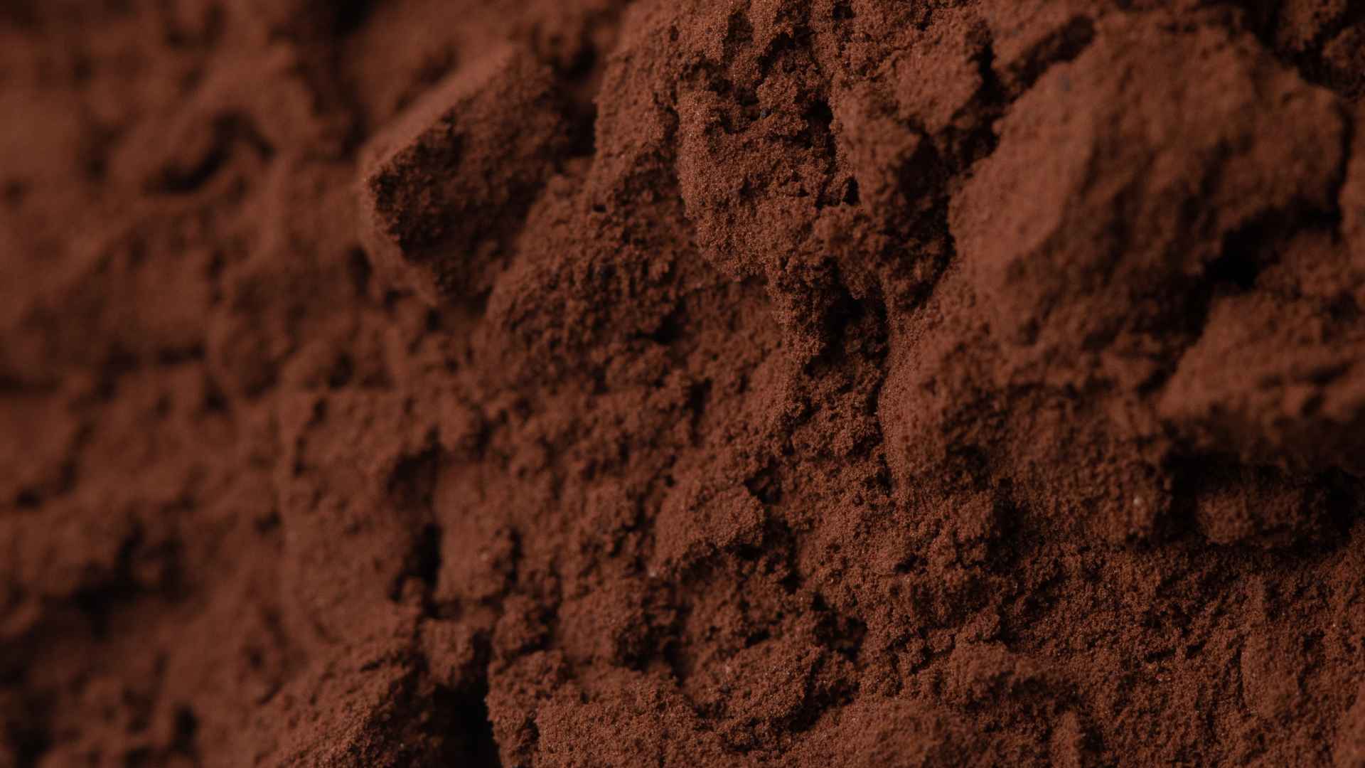 DeZaan Alkalized Cocoa Powder