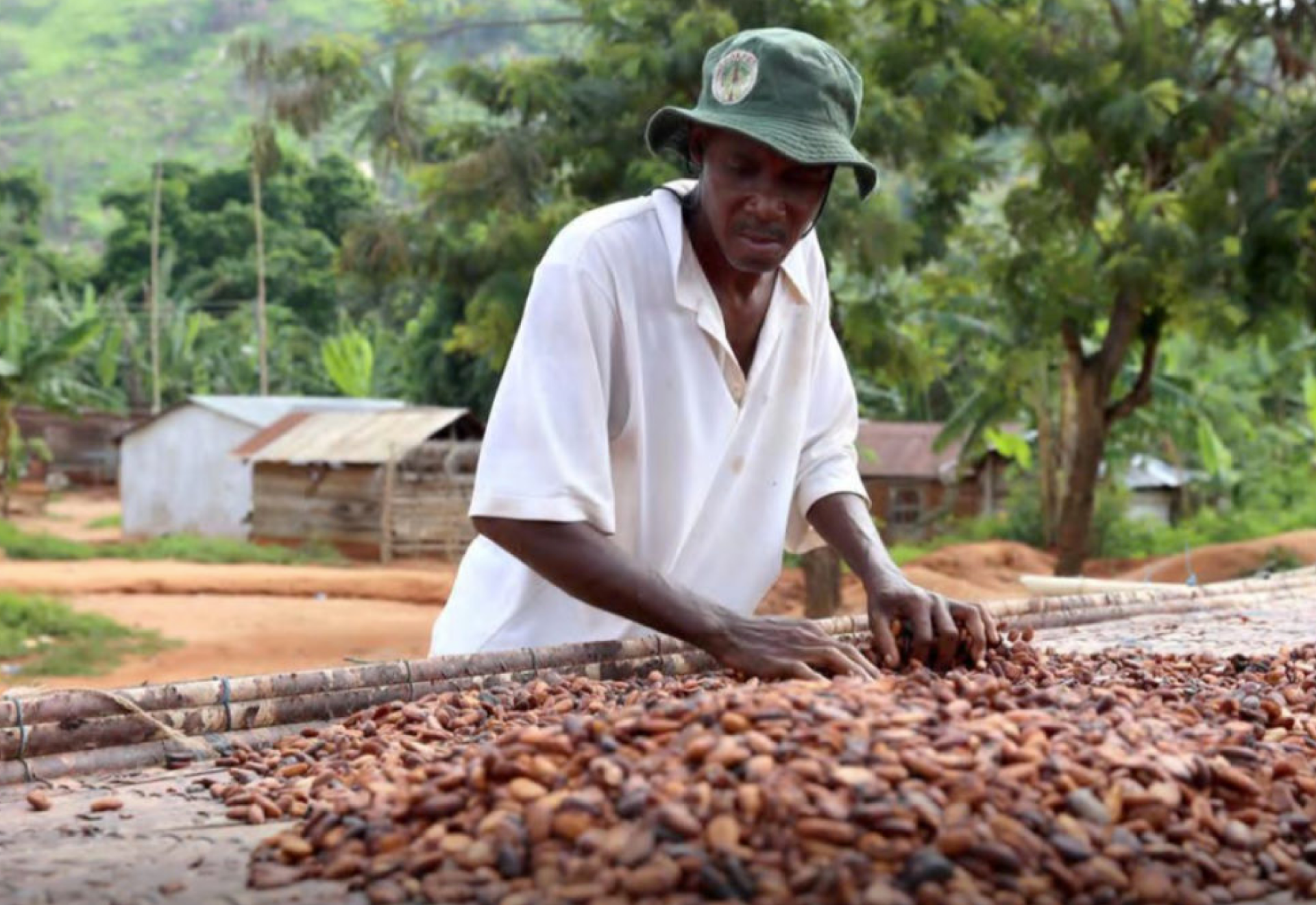 Spreading beans on a mat