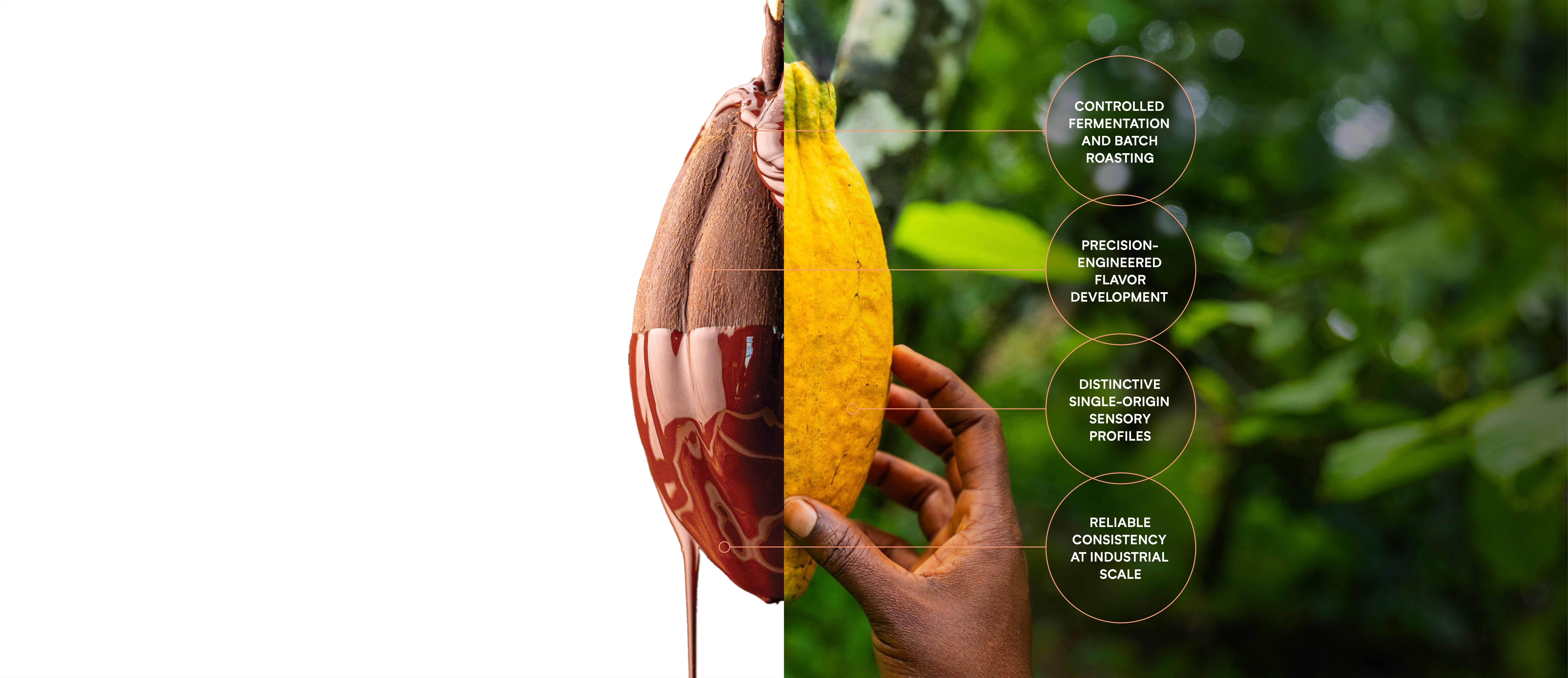 Cocoa Pod Splice   Desktop