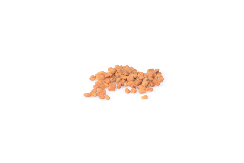 Fenugreek