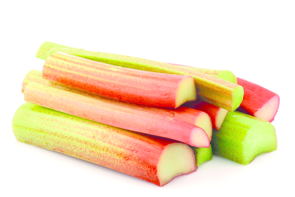 Rhubarb
