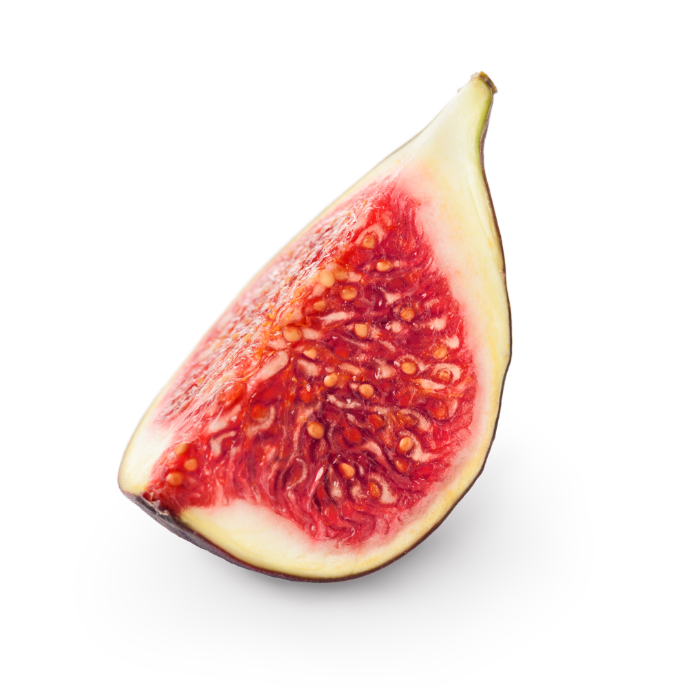 Fig