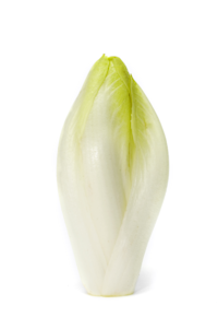 Chicory