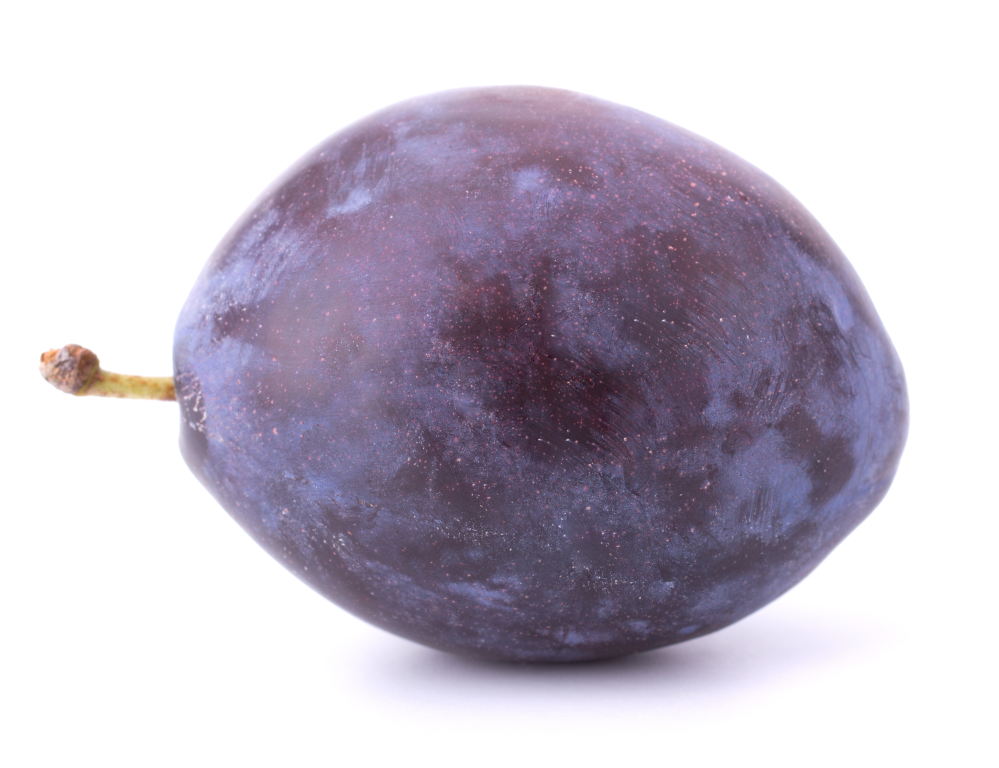 Plum