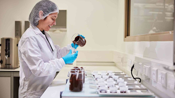 Dezaan Cocoa Experts