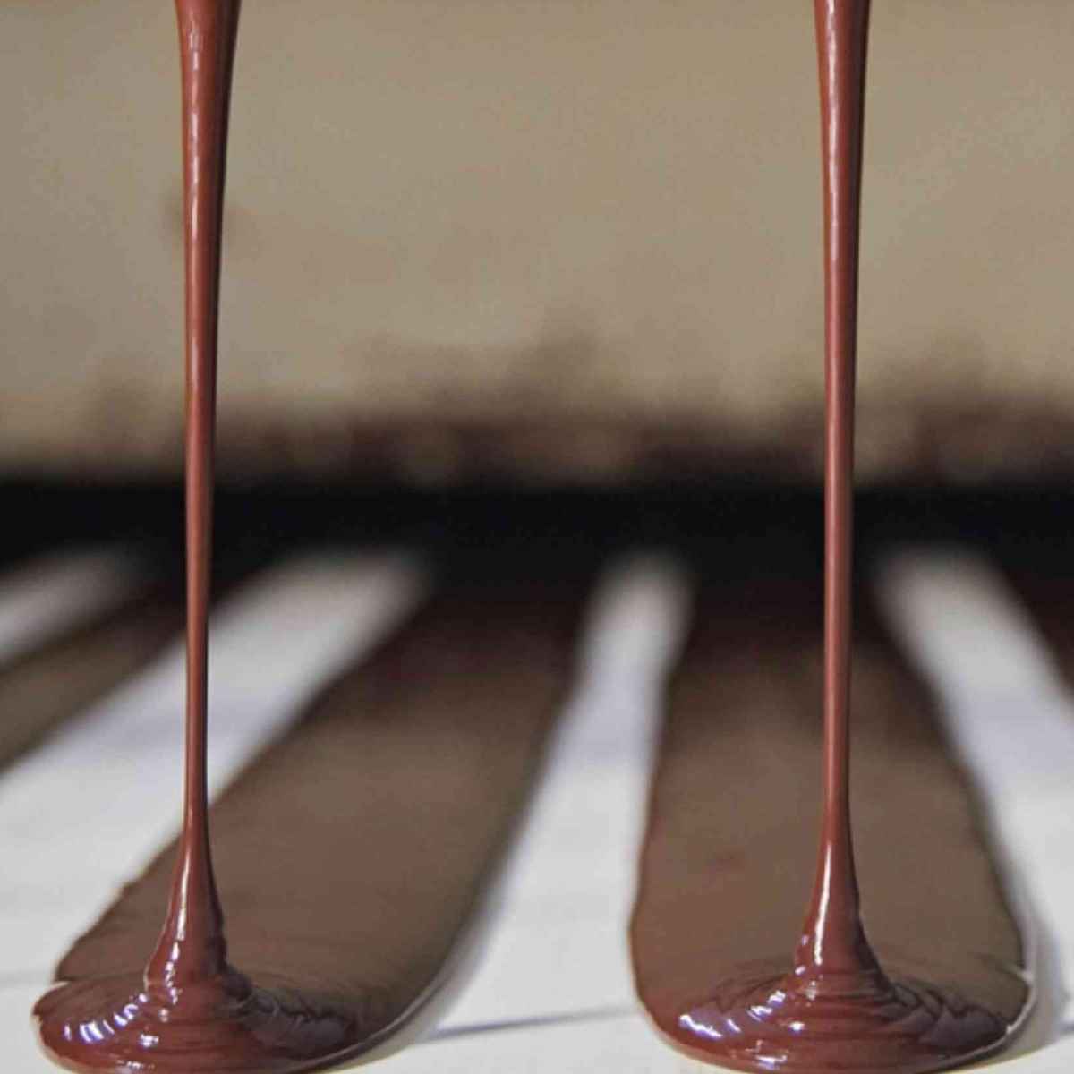 Cocoa Ingredients Production Process