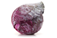 Rotkohl