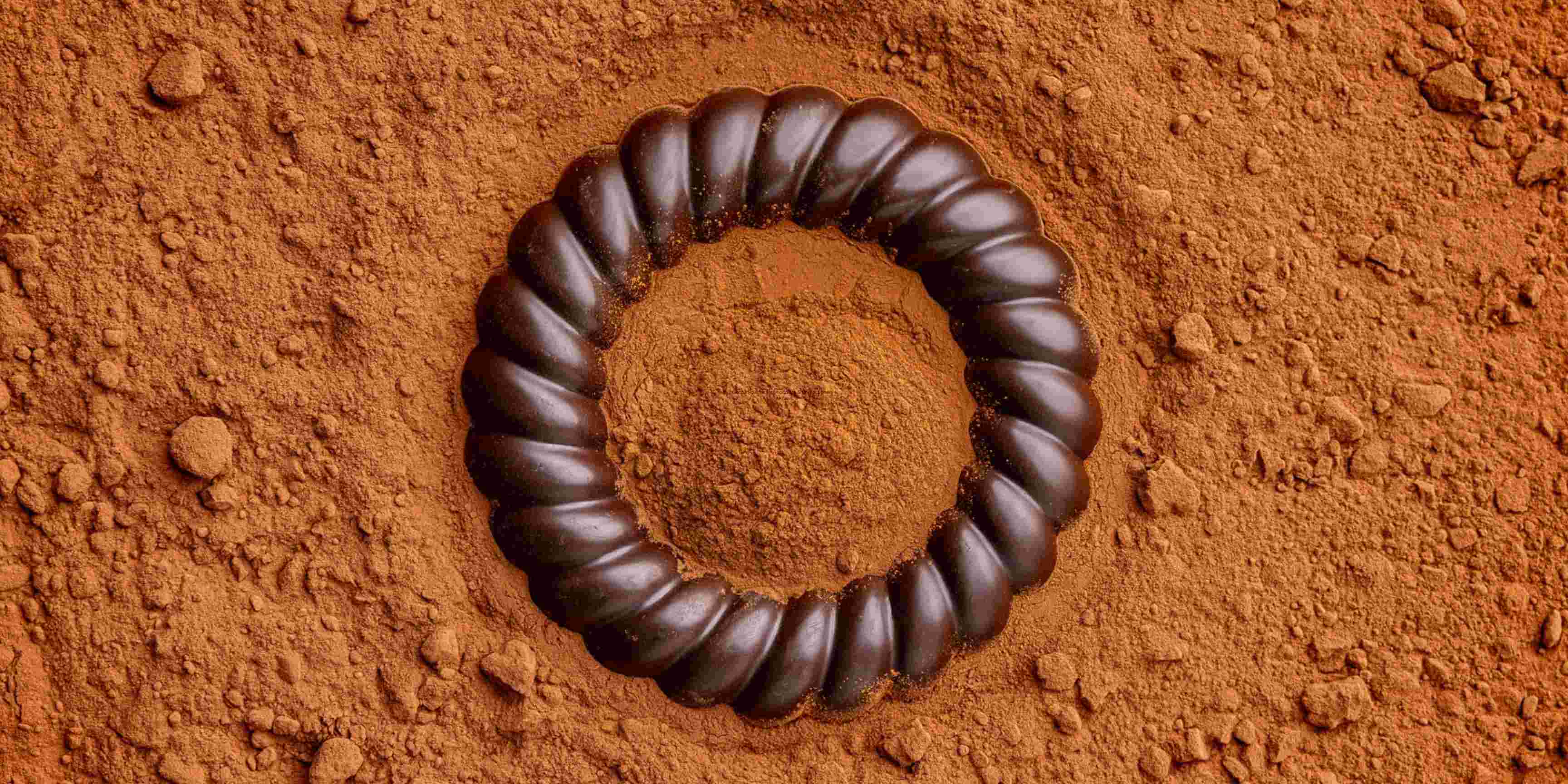Cocoa Powder For Chocolate Manufacturing 