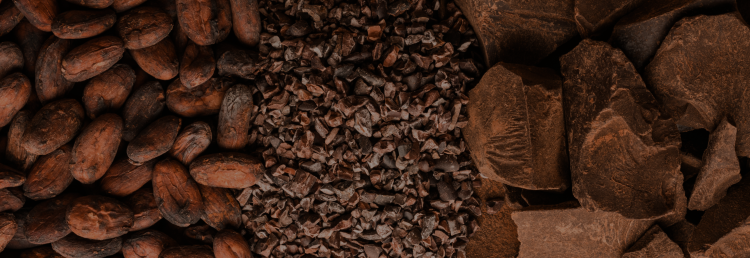 Our Cocoa Ingredients
