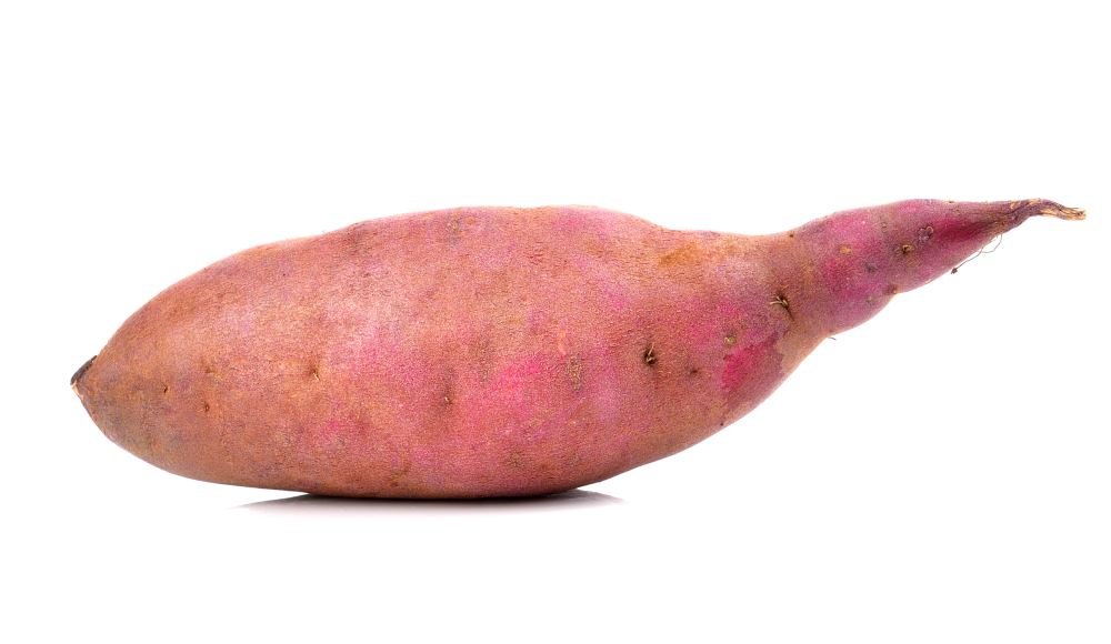 Sweet Potato