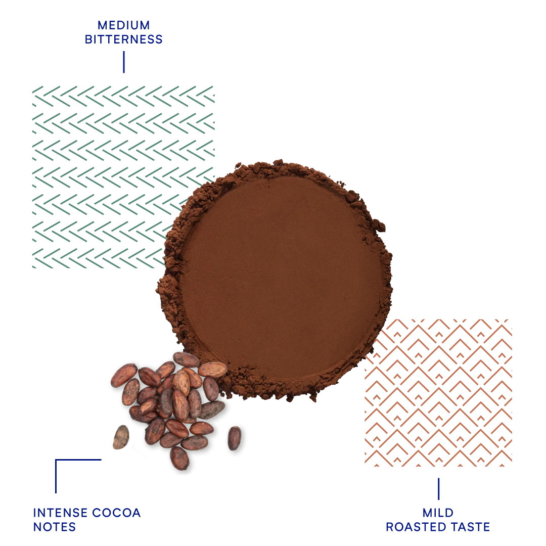 deZaan 420DP11 cocoa flavor profile