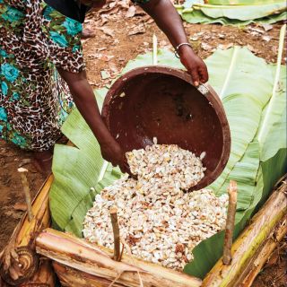 DeZaan Organic Cocoa Powder