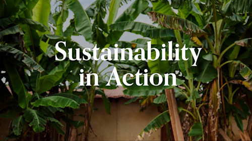 Sustainability Cocoa Magazine Cover Image 1