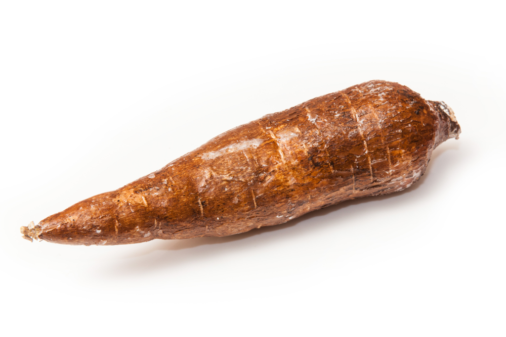 Cassava