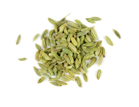 Fennel Seeds