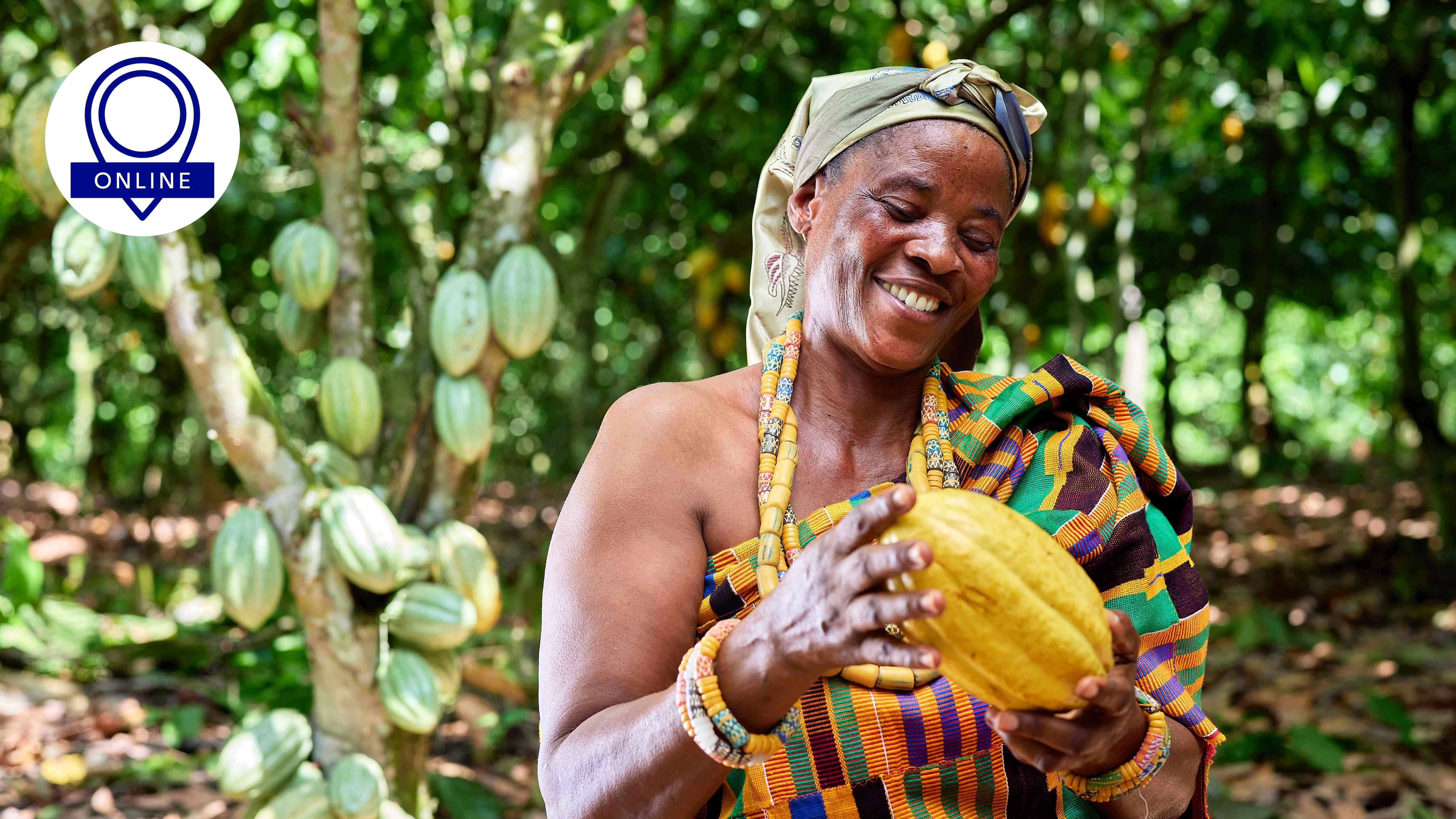 Webinar on Living Income for Cocoa Farmers  photo