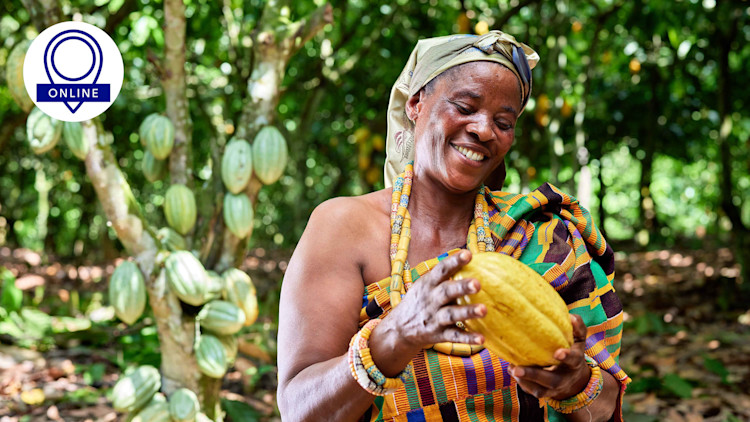 Webinar on Living Income for Cocoa Farmers photo