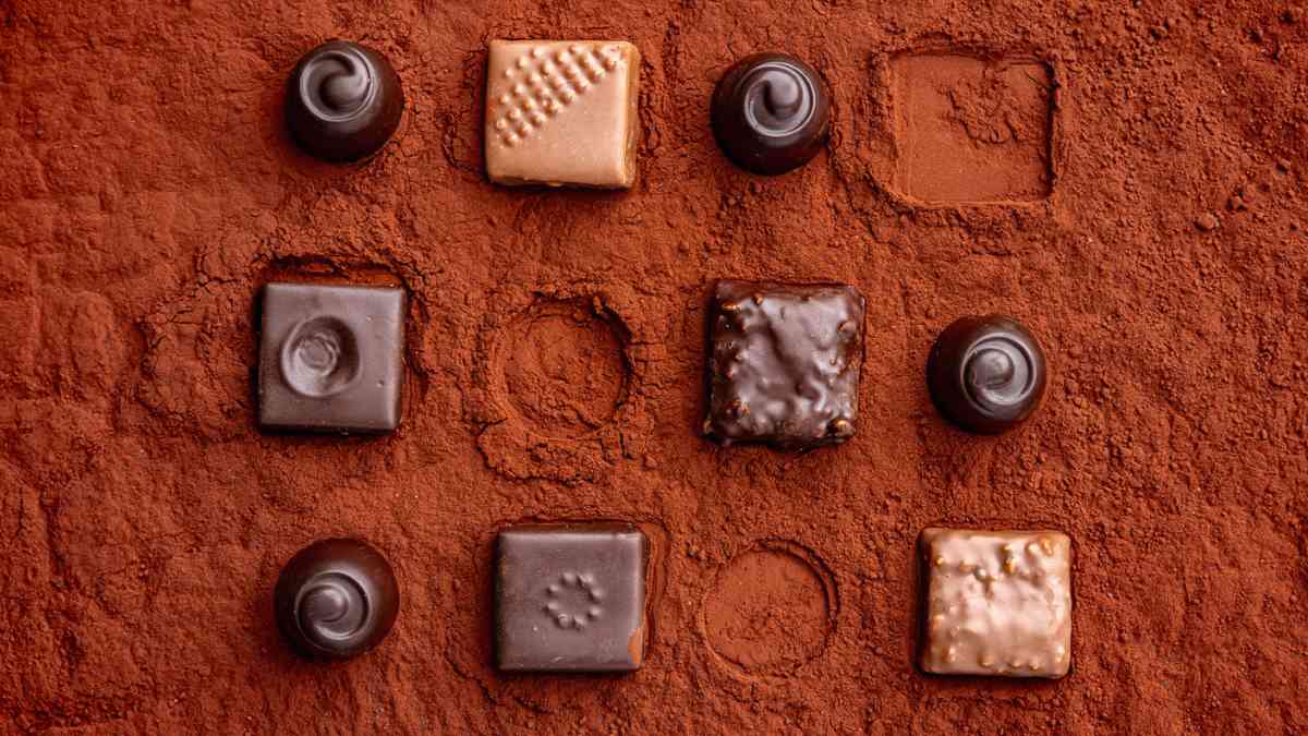DeZaan Cocoa Powder For Chocolate (1)