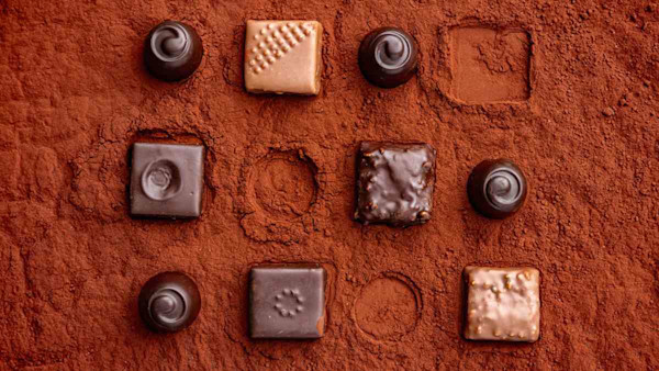 DeZaan Cocoa Powder For Chocolate (1)