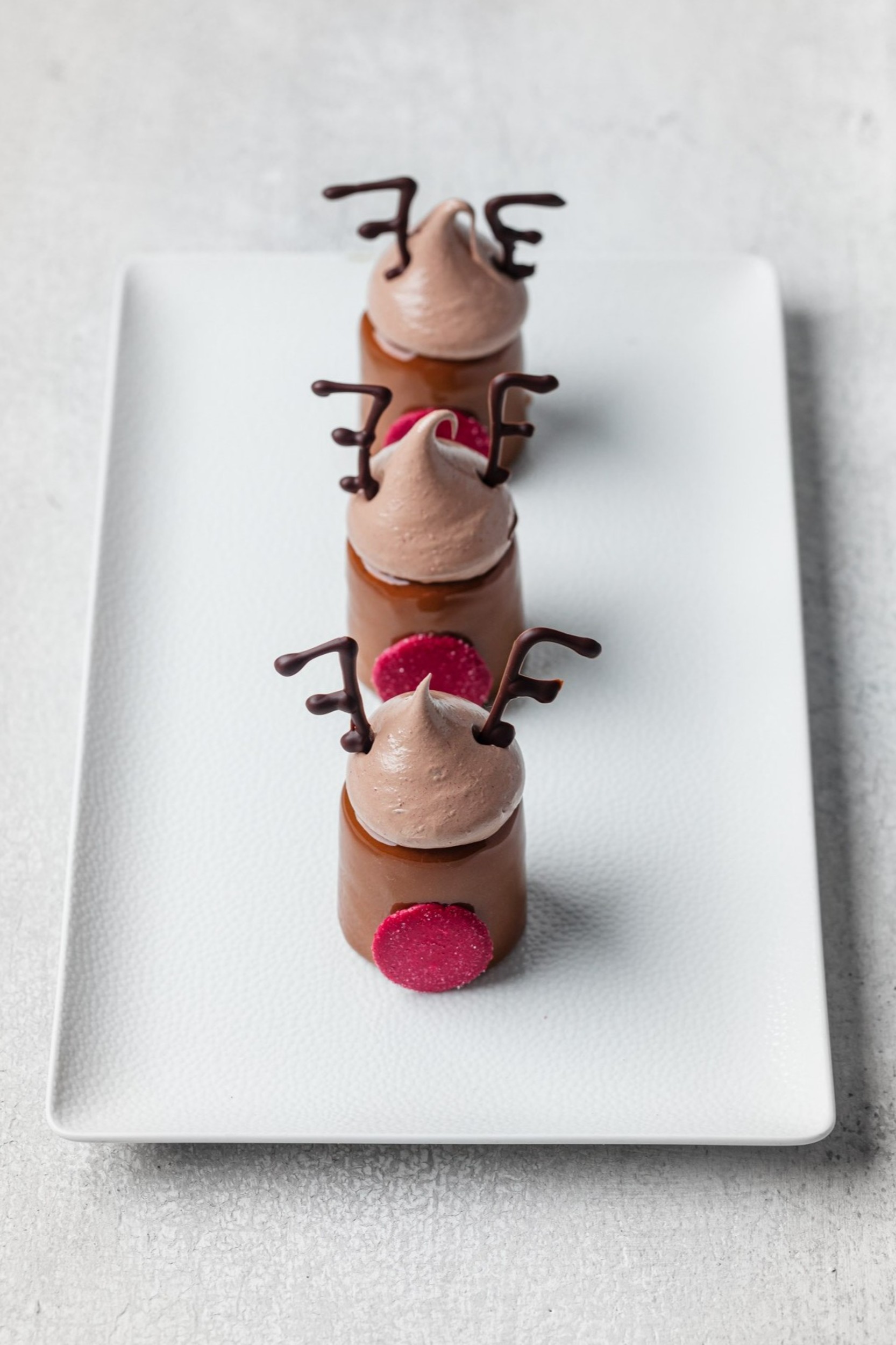 DeZaan Hero Image Of ‘Reindeer’ Petit Gateaux