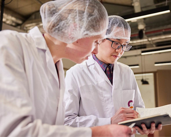 Technical Support For Industrial Cocoa Ingredient Manufacturers