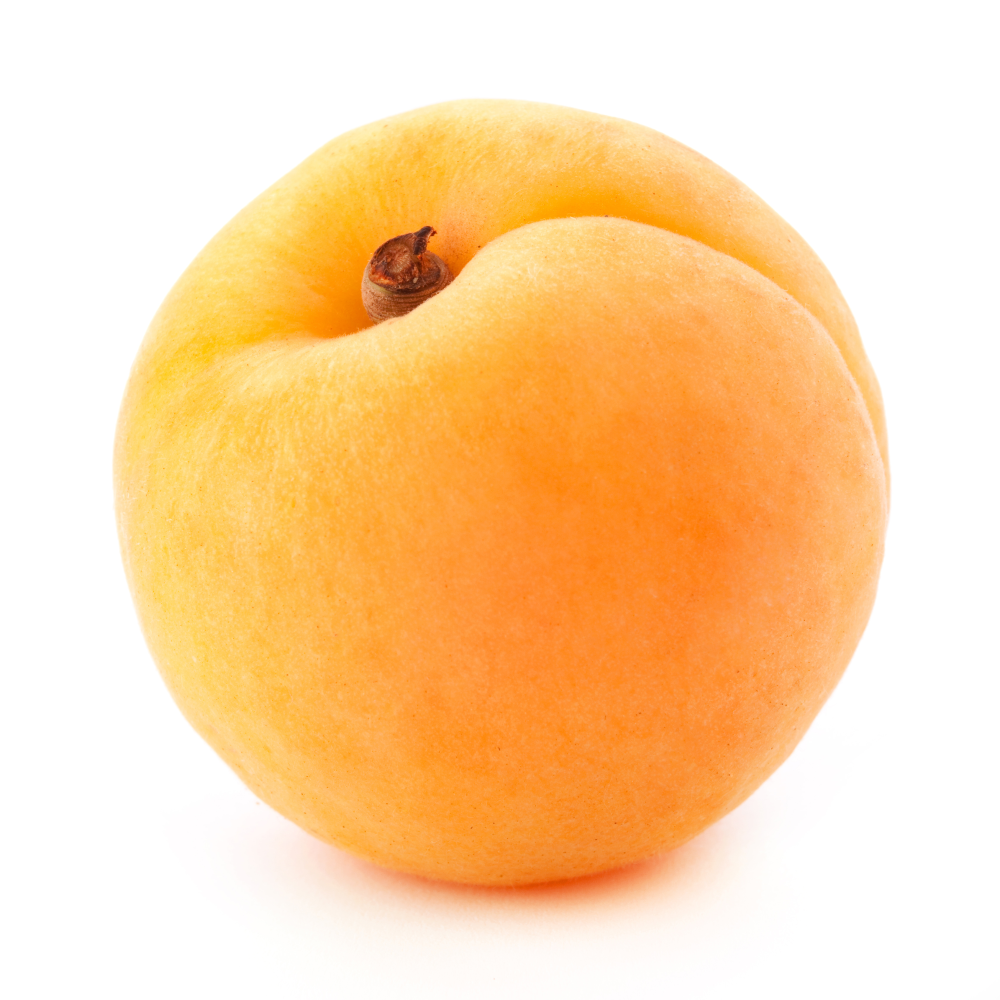 Apricot