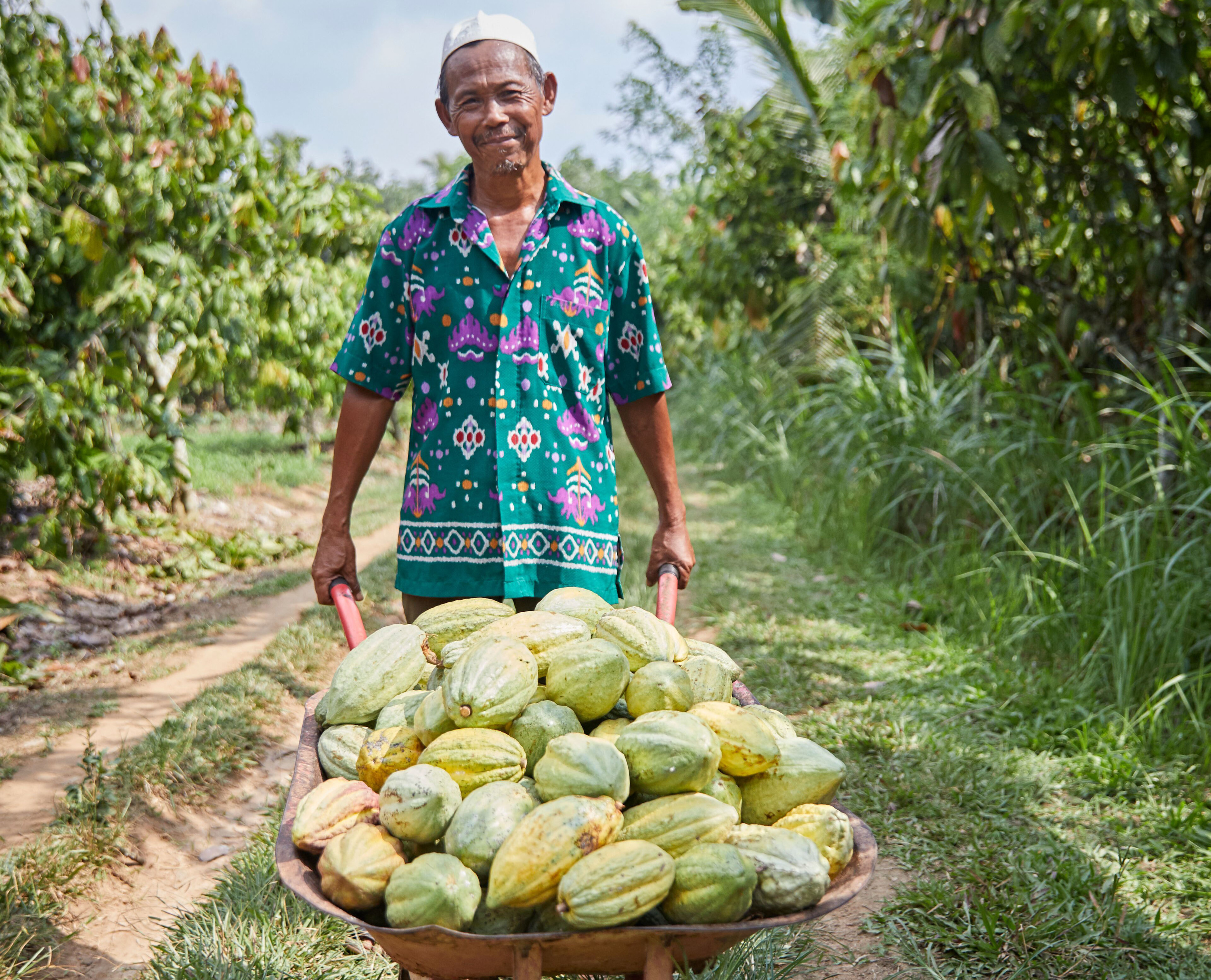 Dezaan Indonesian Man Withcocoa Pods