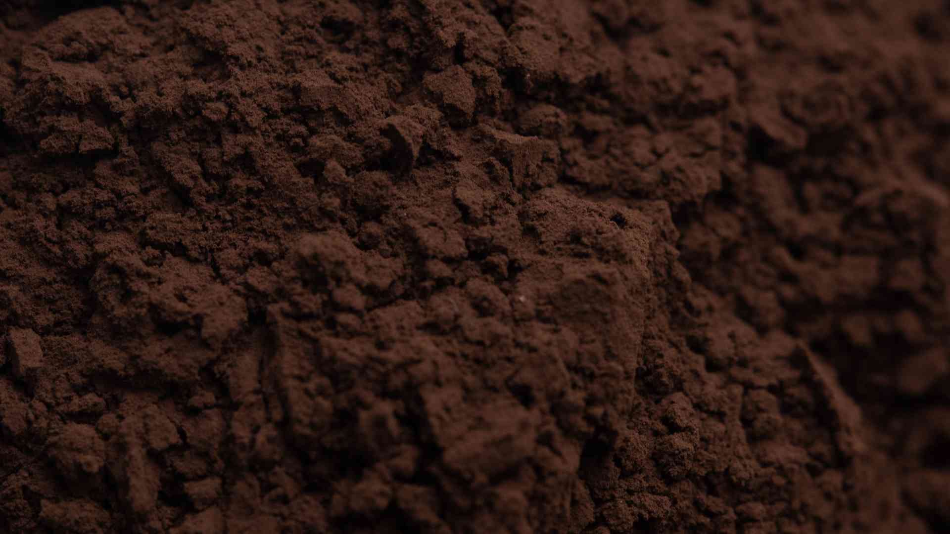 Black Cocoa Powder In Bakery