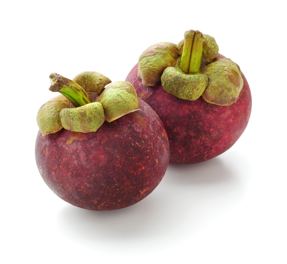 Mangosteen