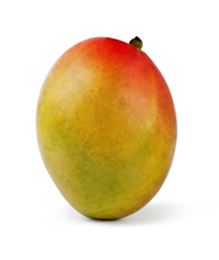 Mangga