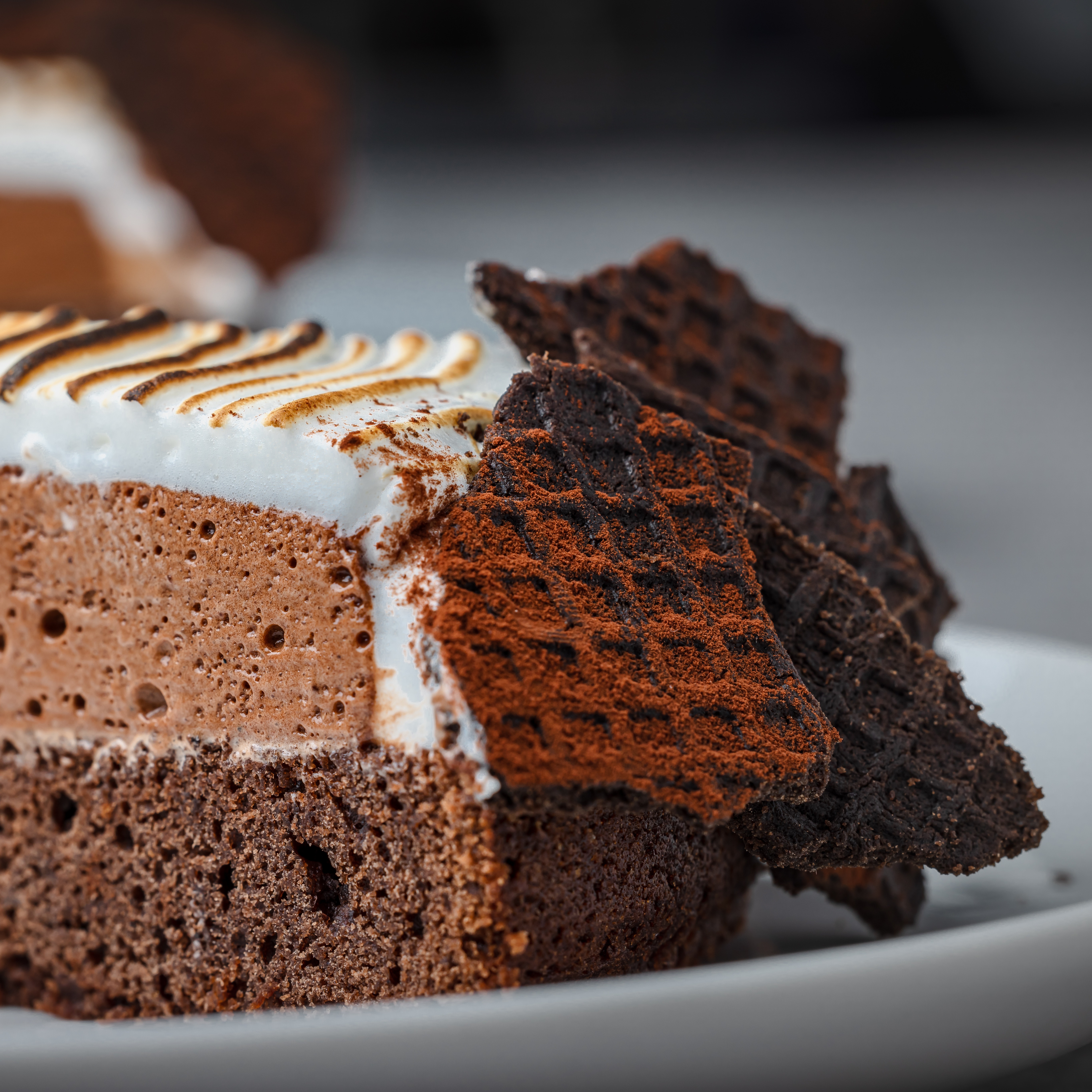 Rich Terracotta Smores Cake
