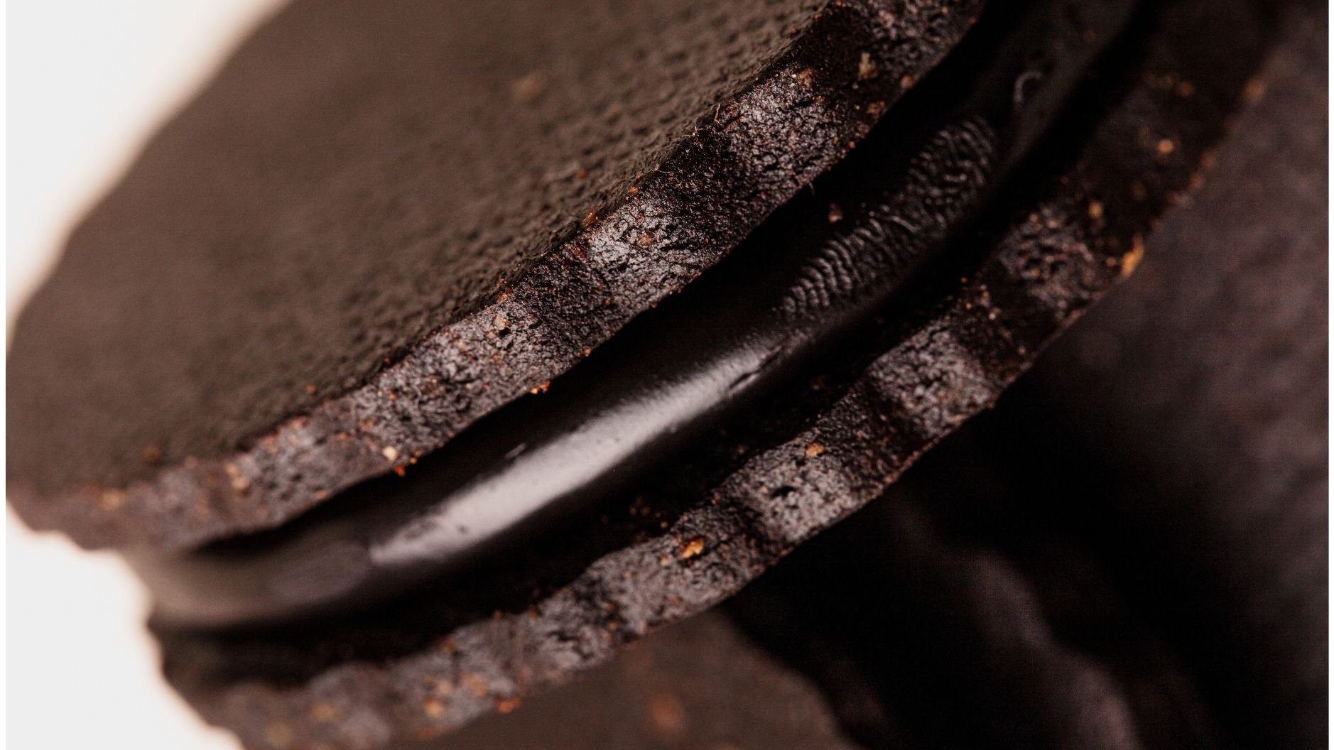 1925 2025 | Unlock A Century Of Cocoa Expertise With DeZaan Black And Dark Cocoa Powders