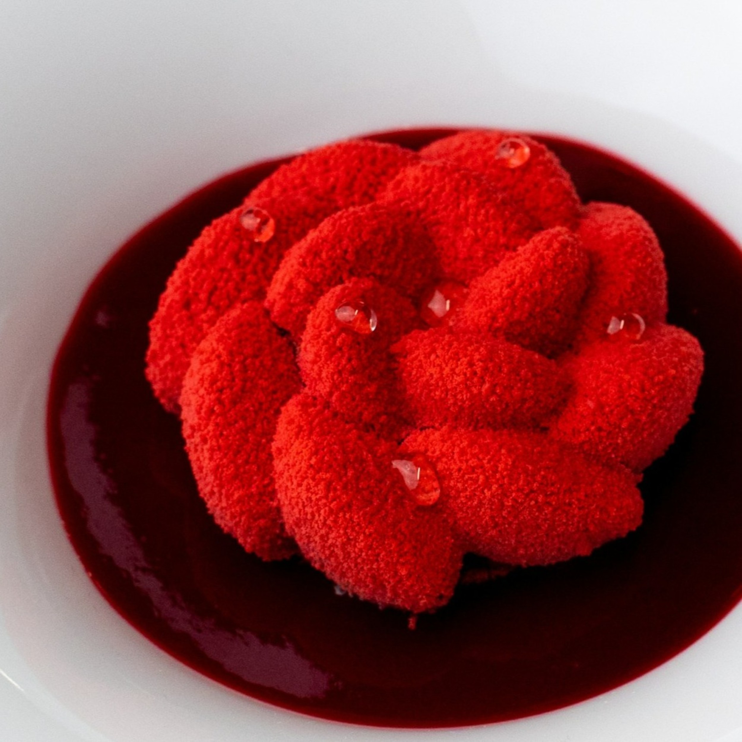 DeZaan Hero Image Of White Peach Strawberry Rose