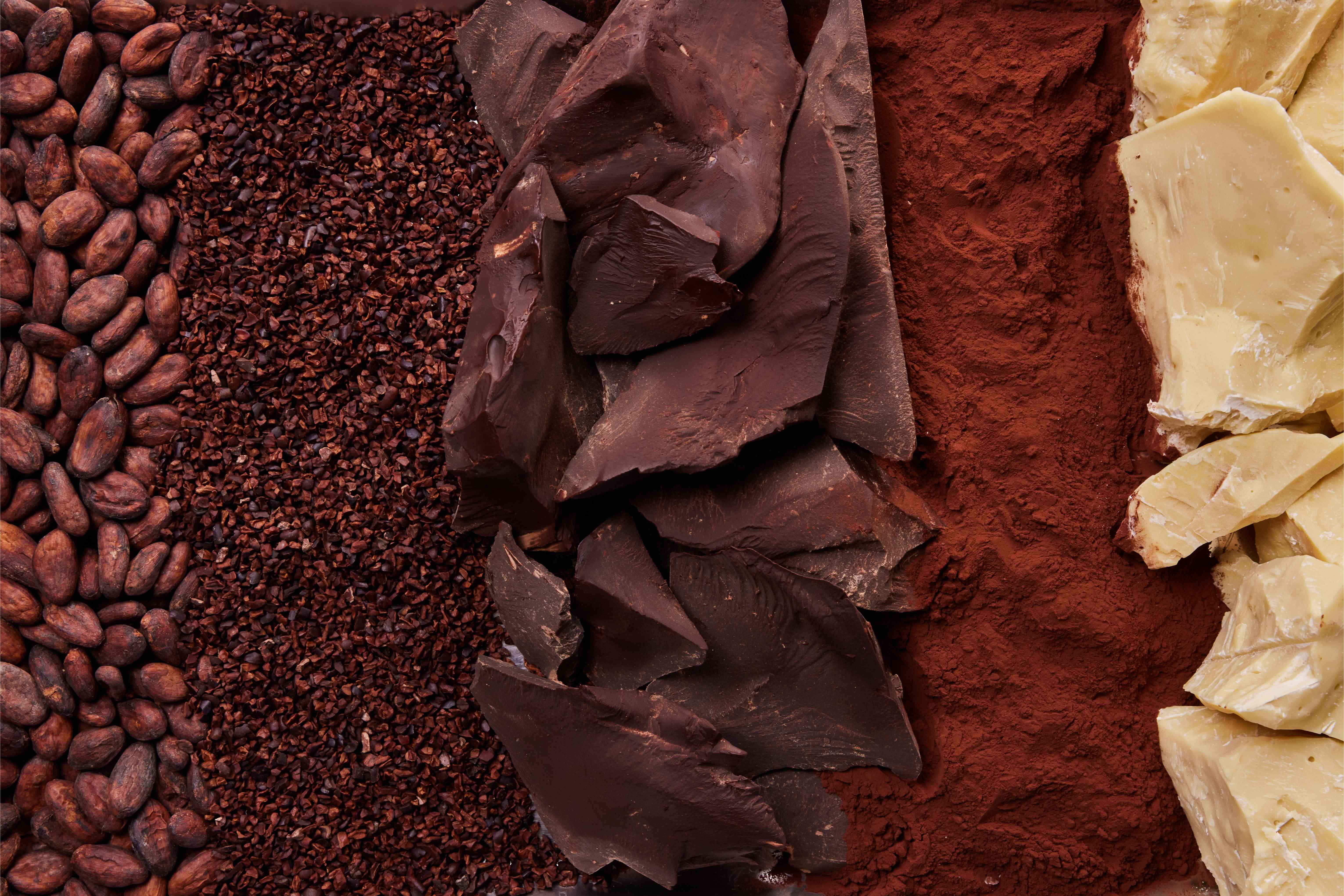 115 Years Of Cocoa Expertise, DeZaan Since 1911