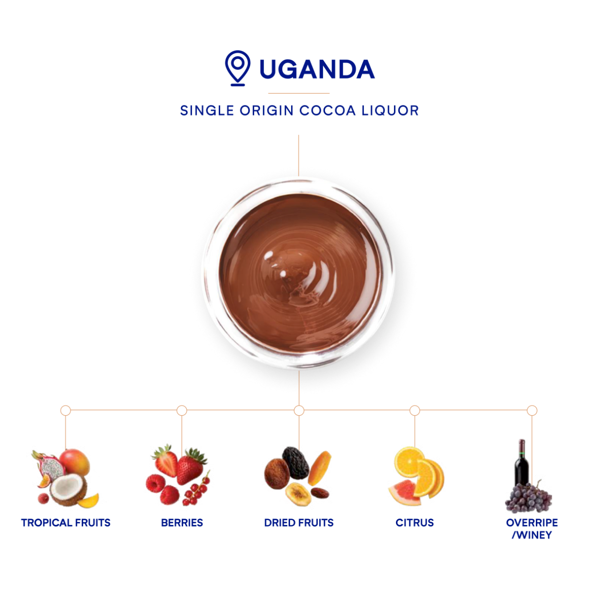 DeZaan Cocoa Mass Sensory Profile Uganda Singleorigin