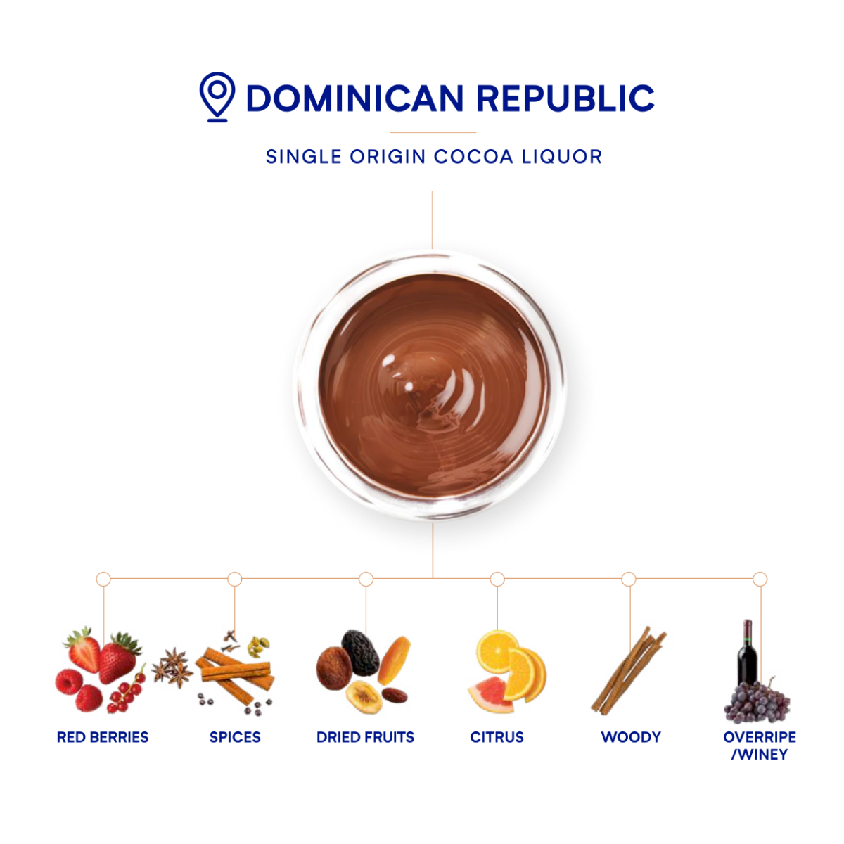 DeZaan Cocoa Mass Sensory Profile Dominican Singleorigin