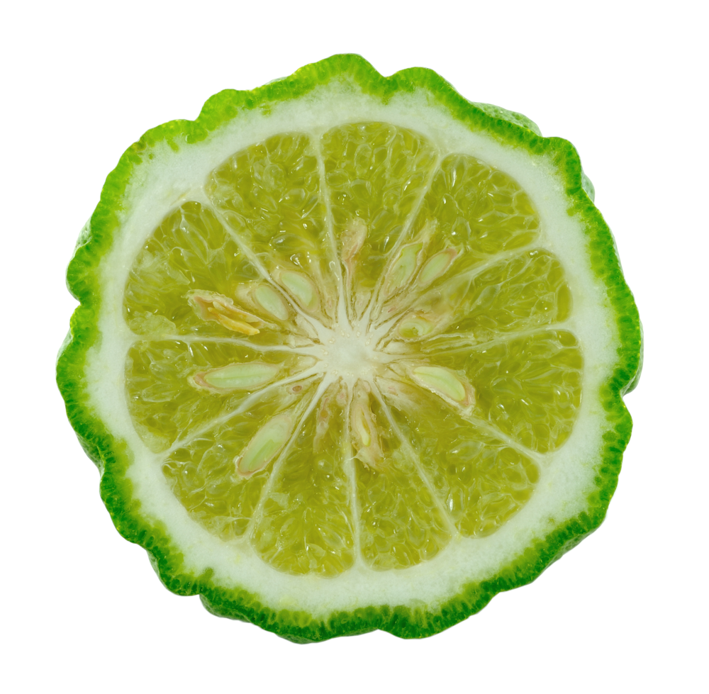 Kaffir Lime