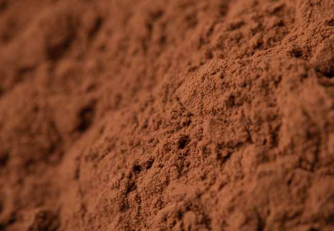 DeZaan Alkalized Cocoa Powder