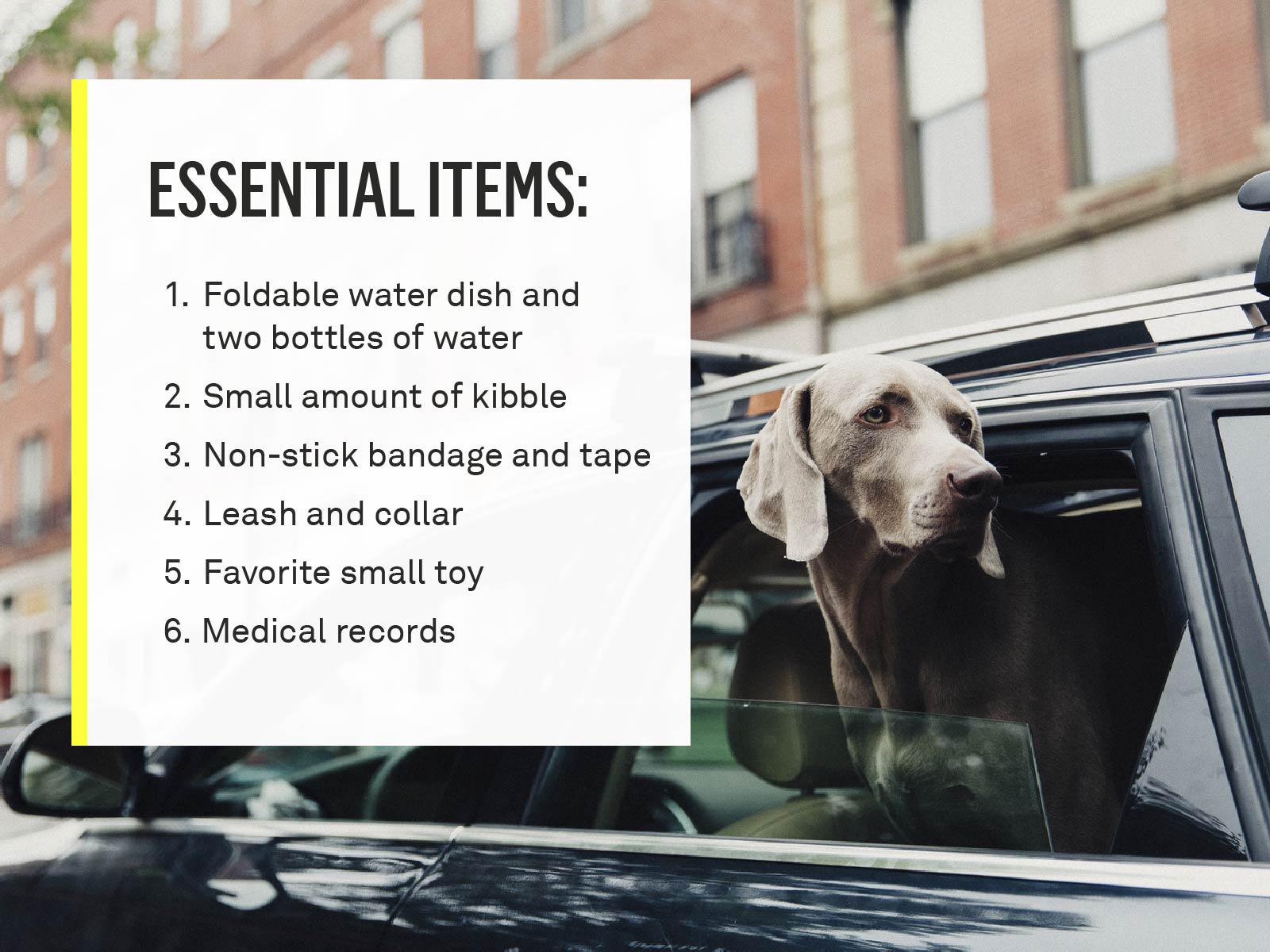essential-items