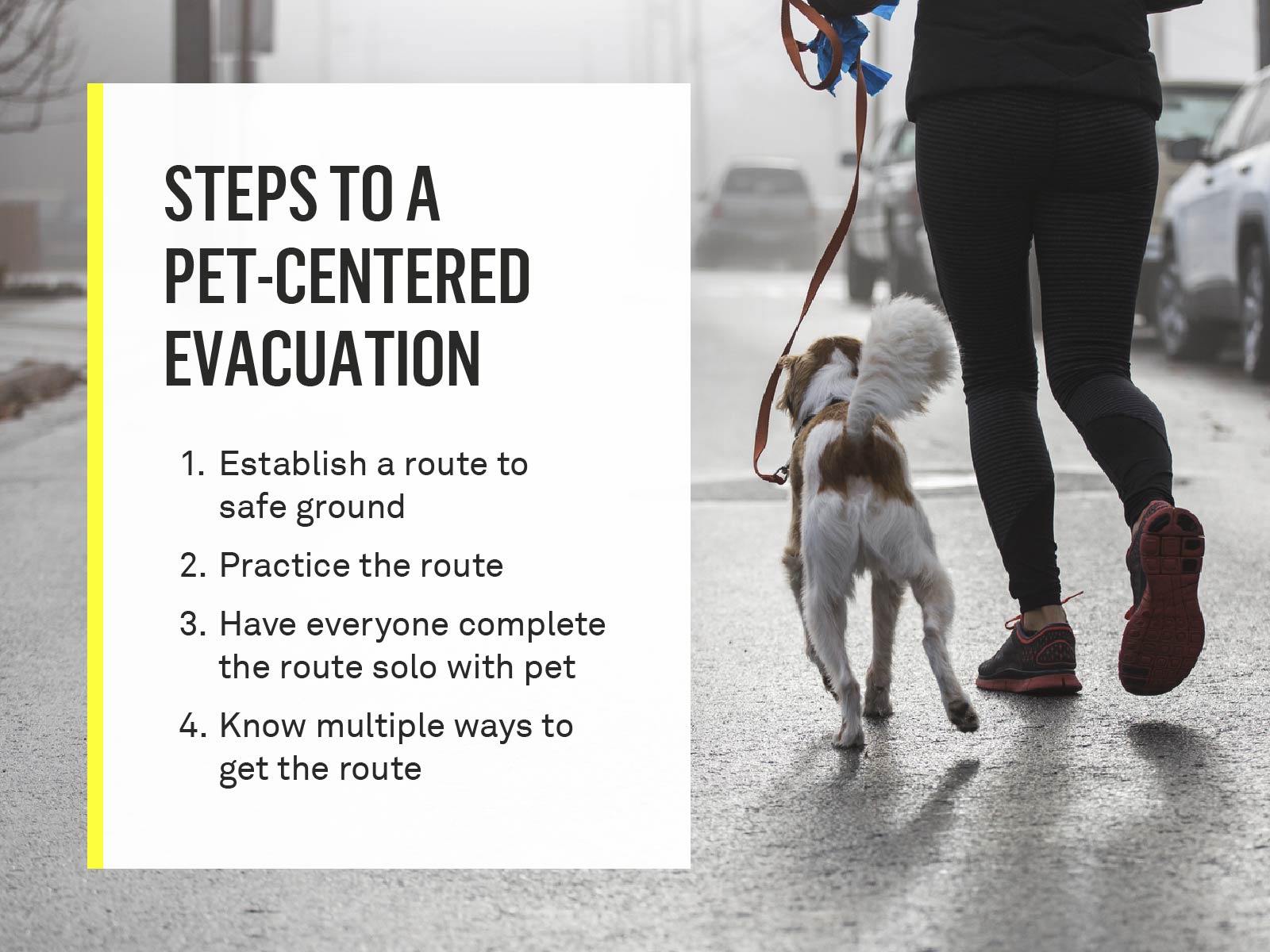 pet-centered-evacuation