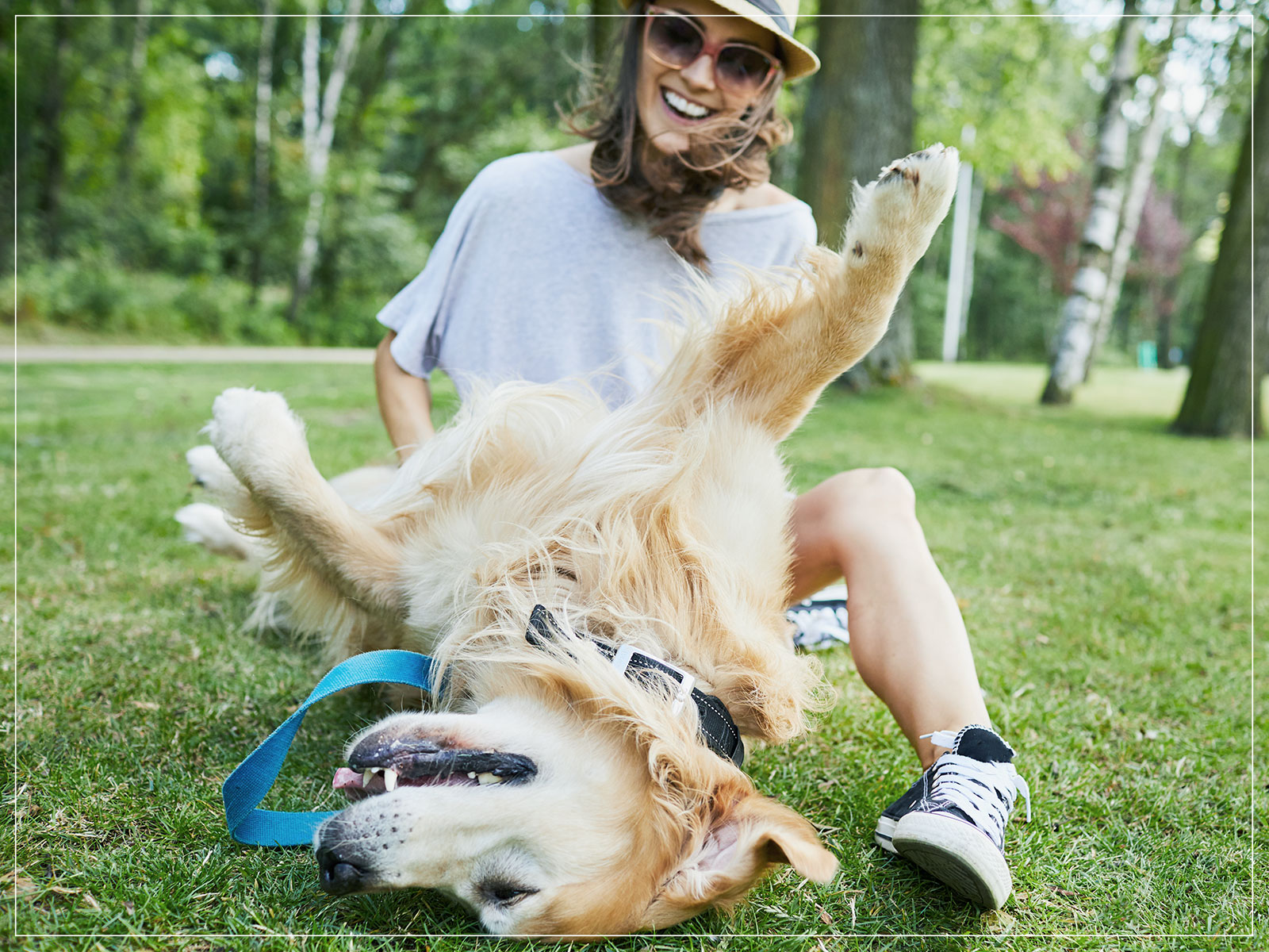 are human multivitamins safe for dogs