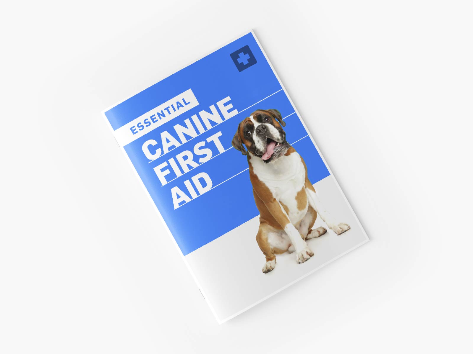 first-aid-manual